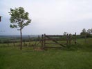 tree and gate.jpg